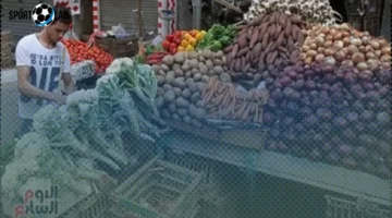 أسعار البصل في أسواق المنوفية اليوم الخميس 6-11-2025